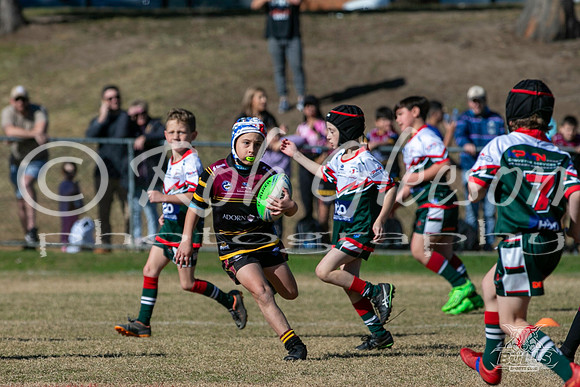 U8(3) R7 - Vs Greystanes_016