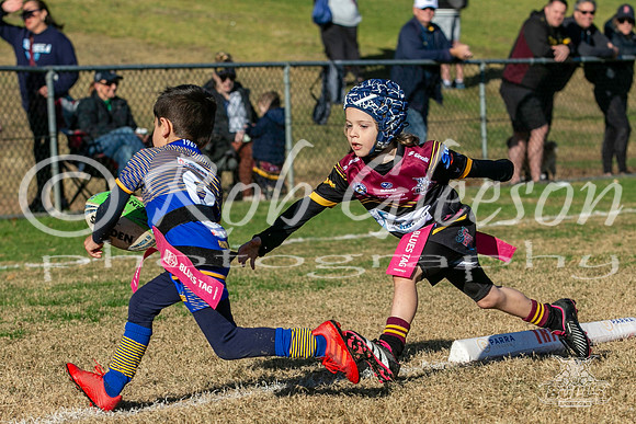 U6(2) R7 - Vs Parra Jnr Eels_019