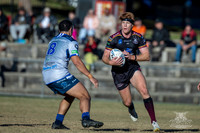 RMC - R9 - Hills v Brothers_013