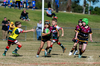 U8(3) R7 - Vs Greystanes_021