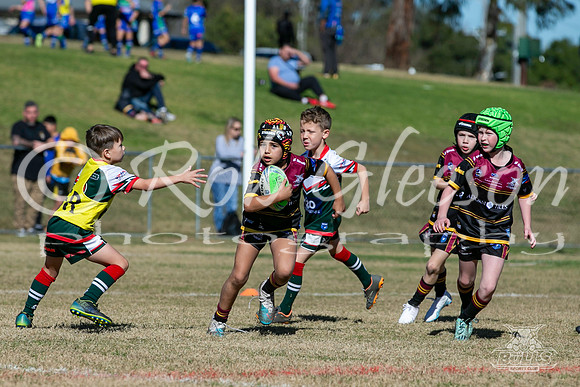 U8(3) R7 - Vs Greystanes_021