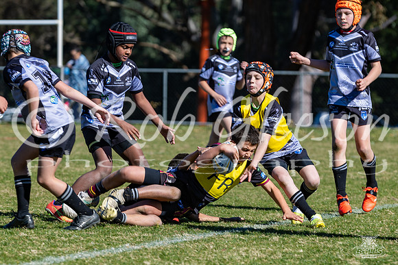 U10(1) R11 v Rouse Hill_14