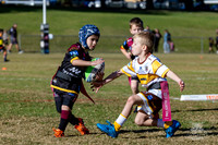 U6(3) R4 - Vs WH Tigers _009