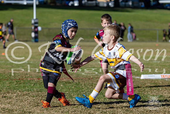 U6(3) R4 - Vs WH Tigers _009