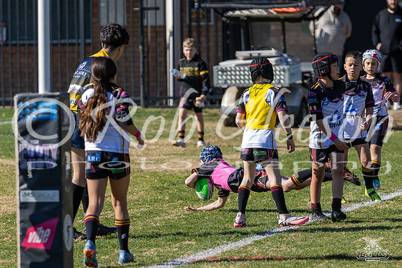 U9(2) R13 v Hills 9(3)_15