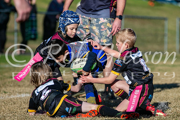 U6(2) R7 - Vs Parra Jnr Eels_017