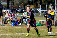 U6(3) R4 - Vs WH Tigers _006