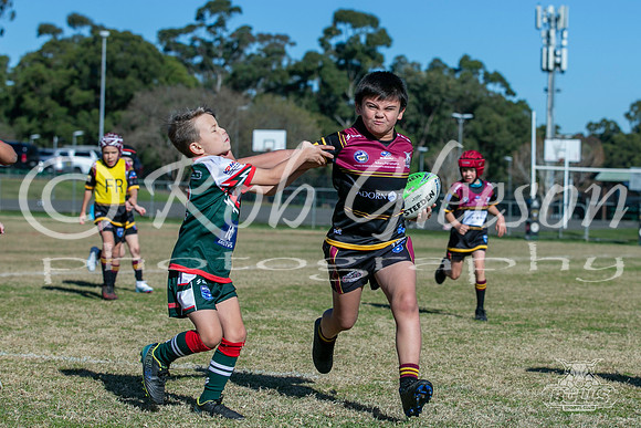 U8(3) R7 - Vs Greystanes_008