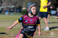 U6(3) R4 - Vs WH Tigers _003