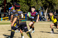 U8(1) - Castle Hill Podiatry