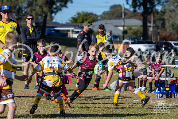 U6(3) R4 - Vs WH Tigers _004