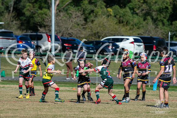 U8(3) R7 - Vs Greystanes_013