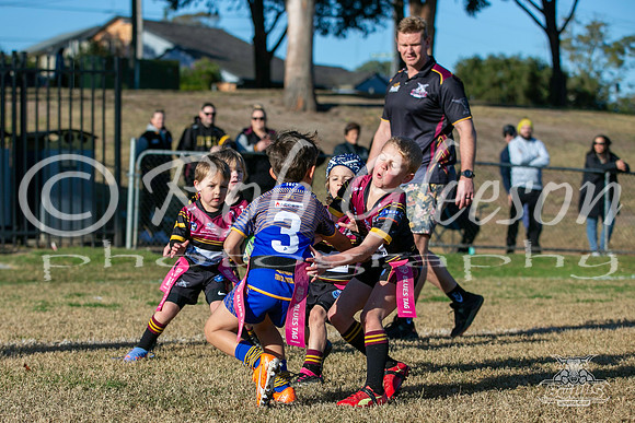 U6(2) R7 - Vs Parra Jnr Eels_008