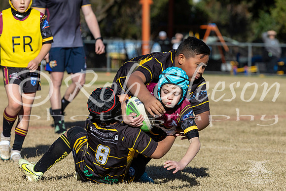 U8(1) R8 - v Mounties_024