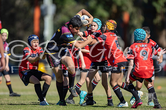 U13(3) R4 - Vs Kellyville(2) _013
