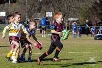 U6(3) R4 - Vs WH Tigers _005