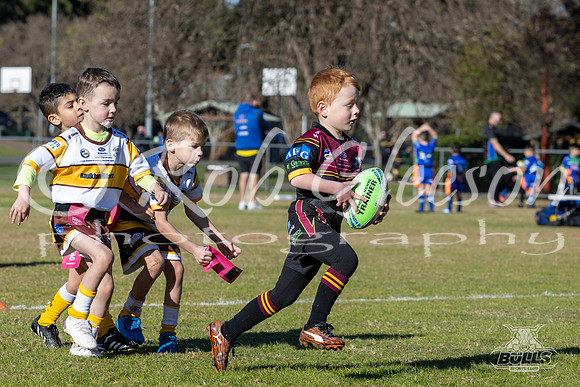 U6(3) R4 - Vs WH Tigers _005