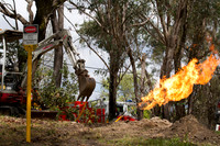 RFS - Northern Beaches District Field Day