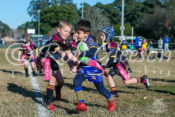 U6(2) R7 - Vs Parra Jnr Eels_005