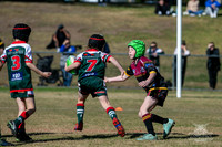 U8(3) R7 - Vs Greystanes_017