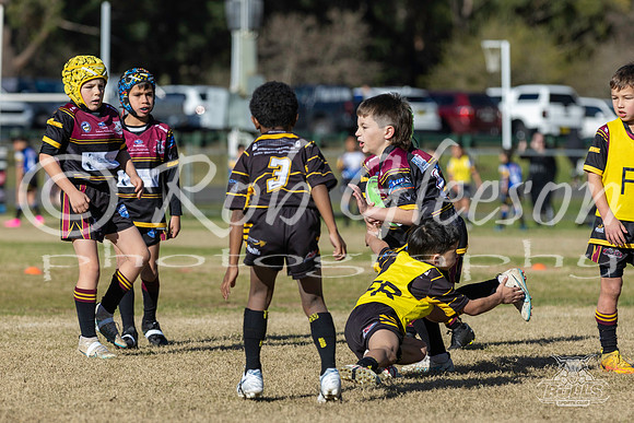 U8(1) R8 - v Mounties_011