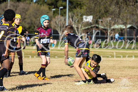 U8(1) R8 - v Mounties_019