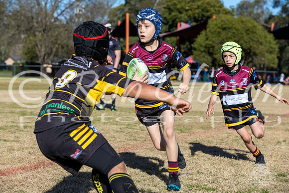 U8(1) R8 - v Mounties_004