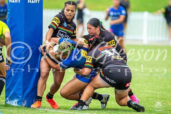 LFC - R6 - Eels v Panthers_63