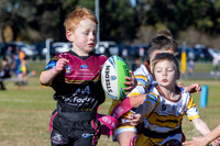 U6(3) R4 - Vs WH Tigers _011