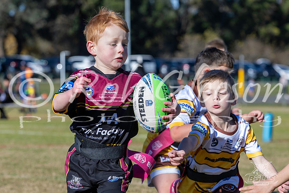 U6(3) R4 - Vs WH Tigers _011