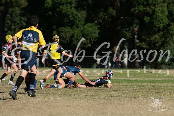 U11(2) R7 - Vs Tigers_023