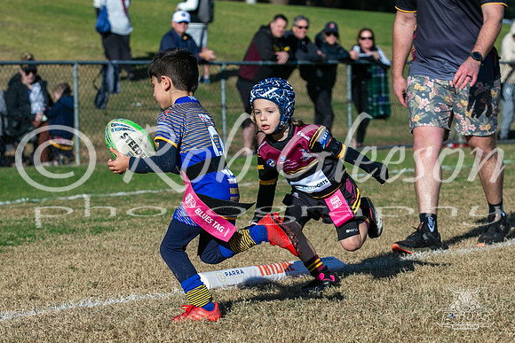 U6(2) R7 - Vs Parra Jnr Eels_018