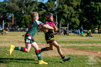 U8(3) R7 - Vs Greystanes_023