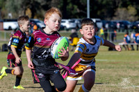 U6(3) R4 - Vs WH Tigers _010