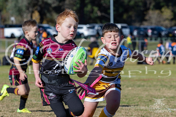 U6(3) R4 - Vs WH Tigers _010