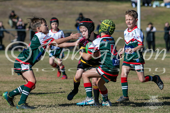 U8(3) R7 - Vs Greystanes_006