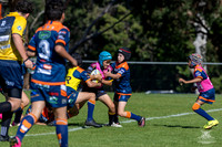 U10(1) R4 v Tigers_6