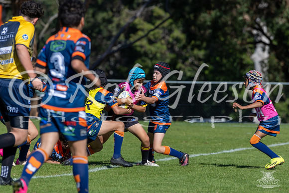 U10(1) R4 v Tigers_6