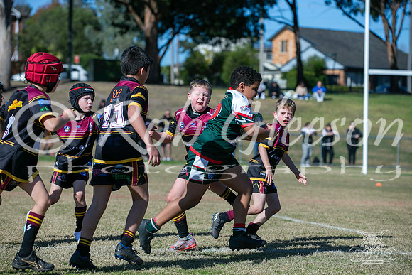 U8(3) R7 - Vs Greystanes_010