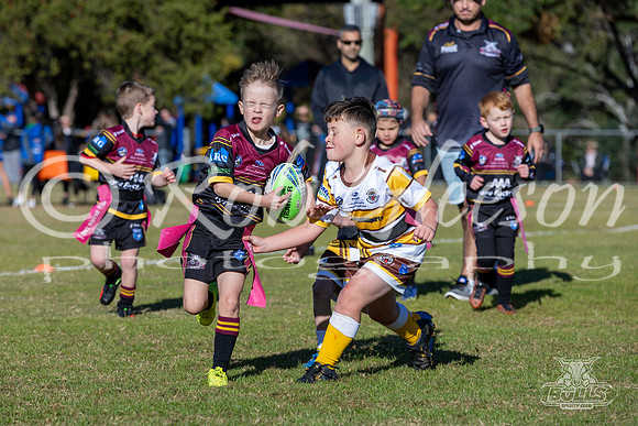 U6(3) R4 - Vs WH Tigers _001