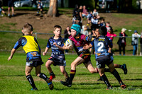 U8(1) - Senator Pools