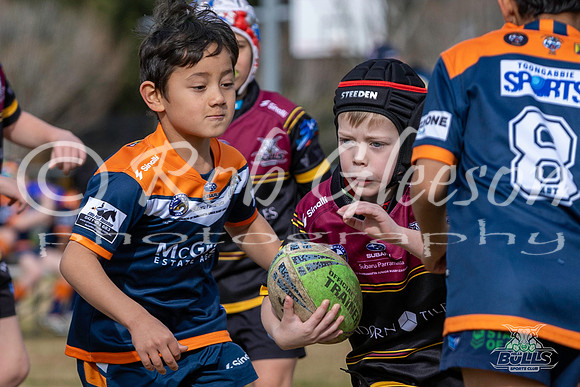 U8(3) R10 - Vs Tigers_006