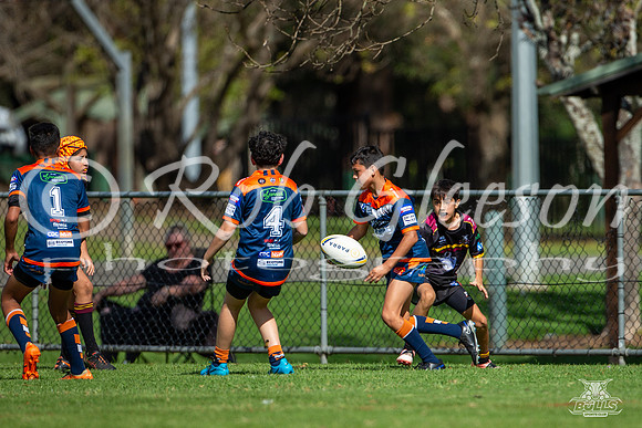 U13(3) R4 v Tigers_3