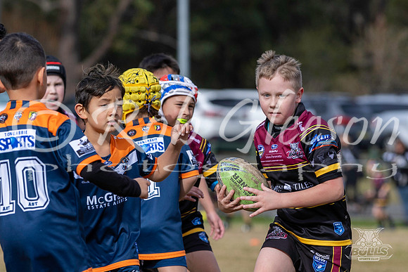 U8(3) R10 - Vs Tigers_003