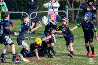 U7(2) R11 v Wenty_12