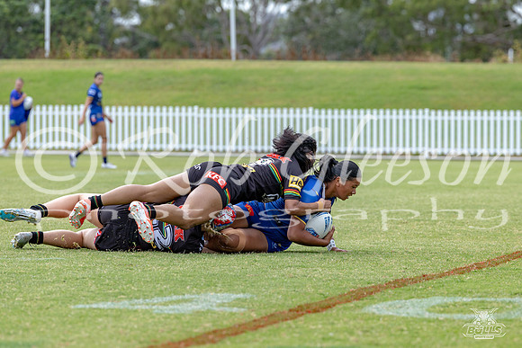 LFC - R6 - Eels v Panthers_8
