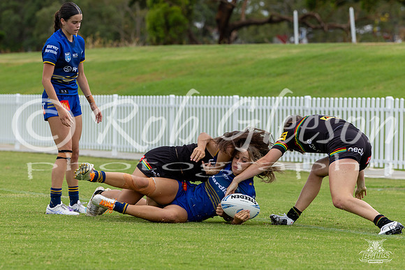 LFC - R6 - Eels v Panthers_36