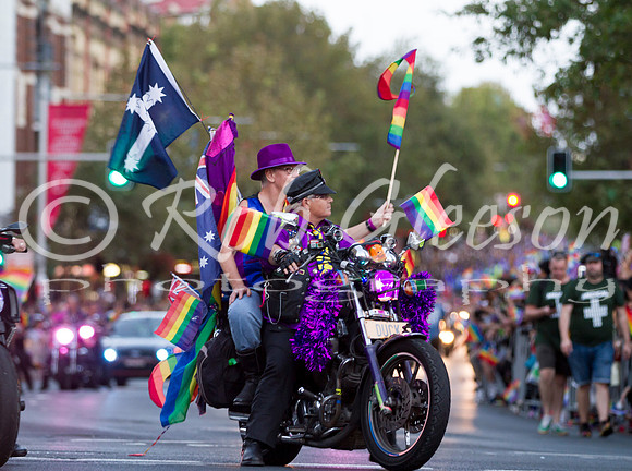 20160305_DOB_Mardi Gras_3349RG