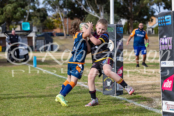U8(3) R10 - Vs Tigers_009