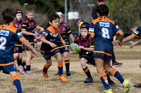U8(3) R10 - Vs Tigers_005